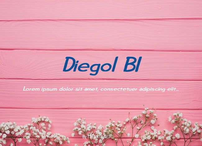 Diego1 BI example